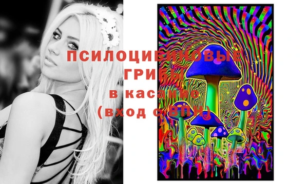 тгк Аркадак