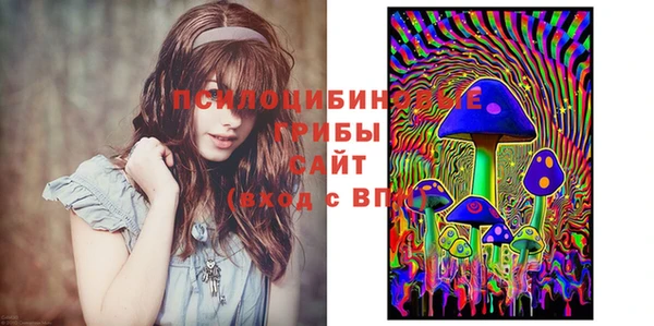 тгк Аркадак