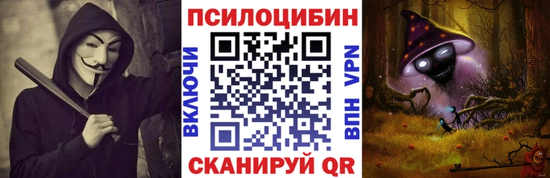 Купить закладки  Давлеканово  Псилоцибиновые грибы мицелий 