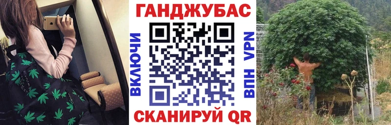 Купить где  Давлеканово  Каннабис сатива 